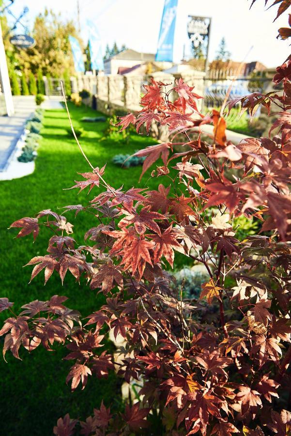 Boutique Hotel Casa Medievala Curtea de Argeş 外观 照片